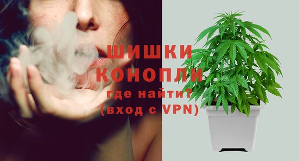 mdpv Волоколамск